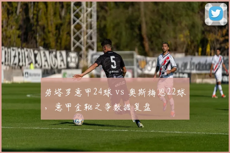 劳塔罗意甲24球 vs 奥斯梅恩22球,意甲金靴之争数据复盘